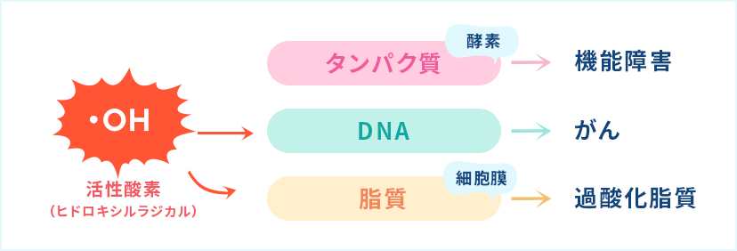 「老化」の原因とは 01