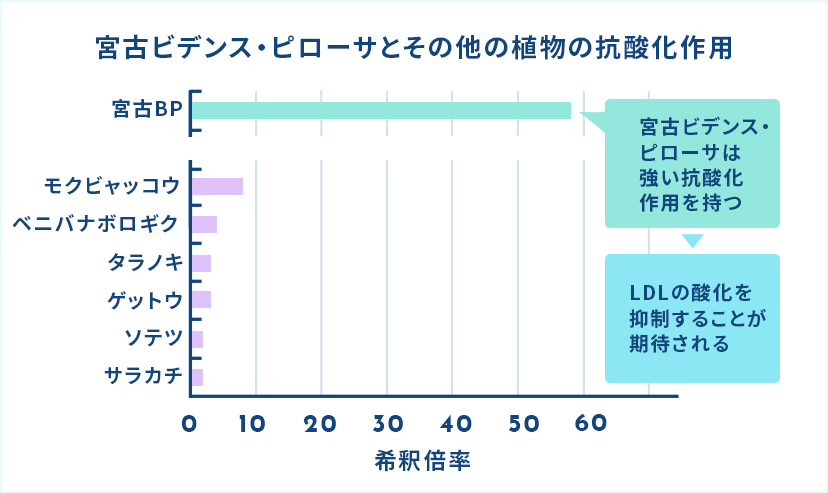 宮古ビデンスピローサの抗酸化作用