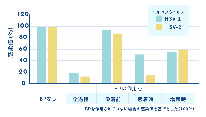 抗ヘルペスウイルス作用メカニズム