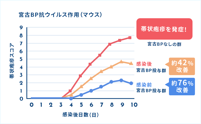 帯状疱疹ウイルス 01