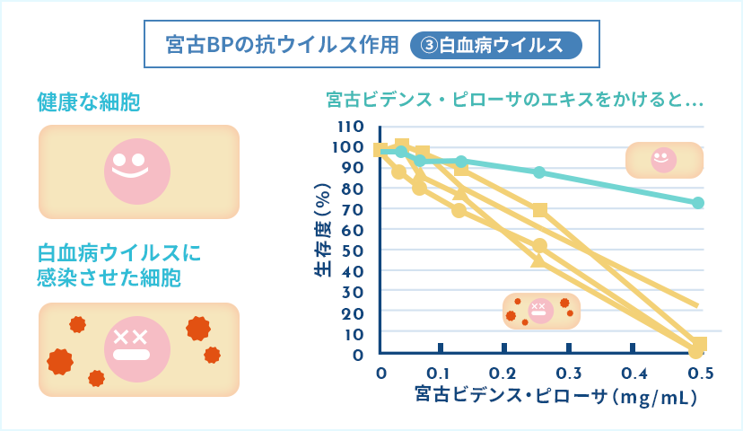 白血病ウイルス