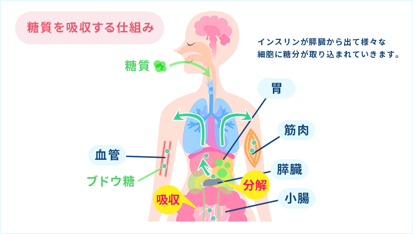 普段の「食事」を見直す 01