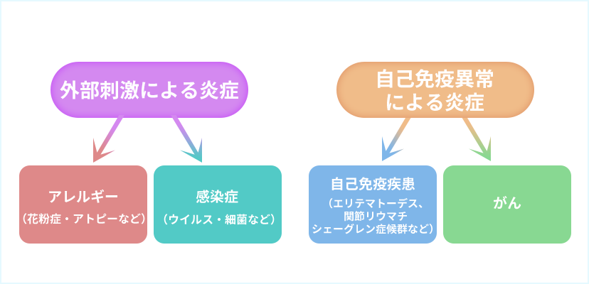 「痛み」の原因とは